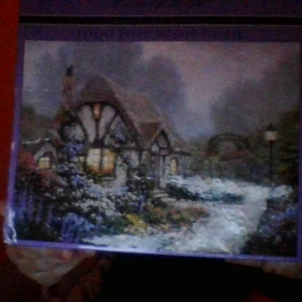 1000 piece puzzle